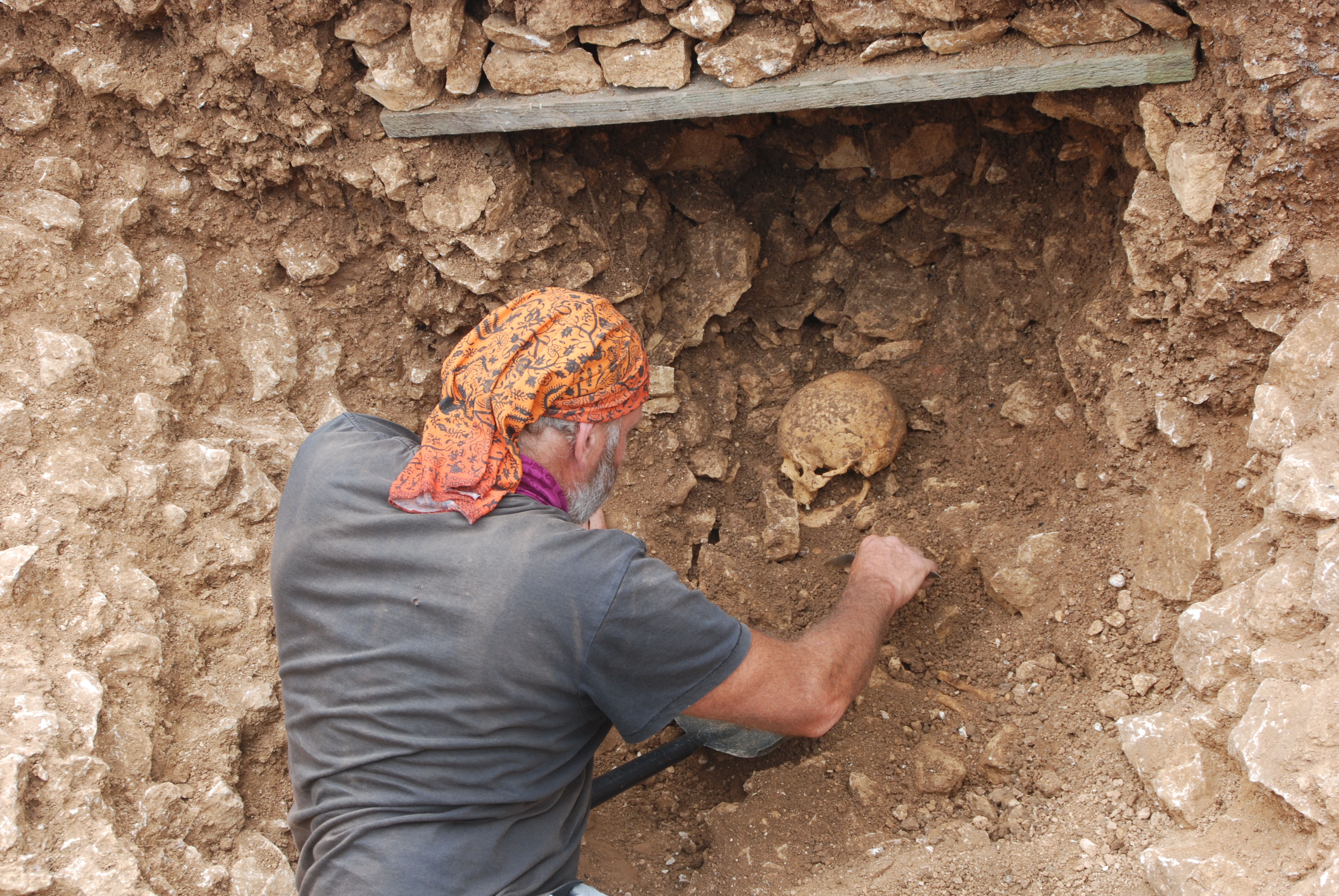 Man uncovering a skull on a fieldwork exercise