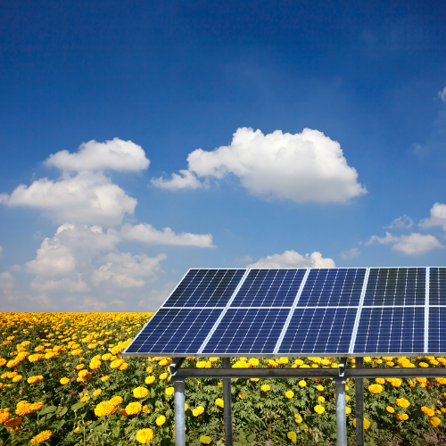 Solar panel field