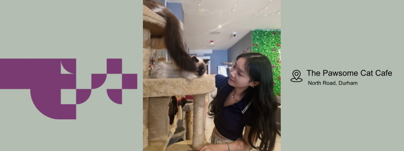 Young woman with long dark hair at a cat cafe standing next to a cat condo petting 2 cats