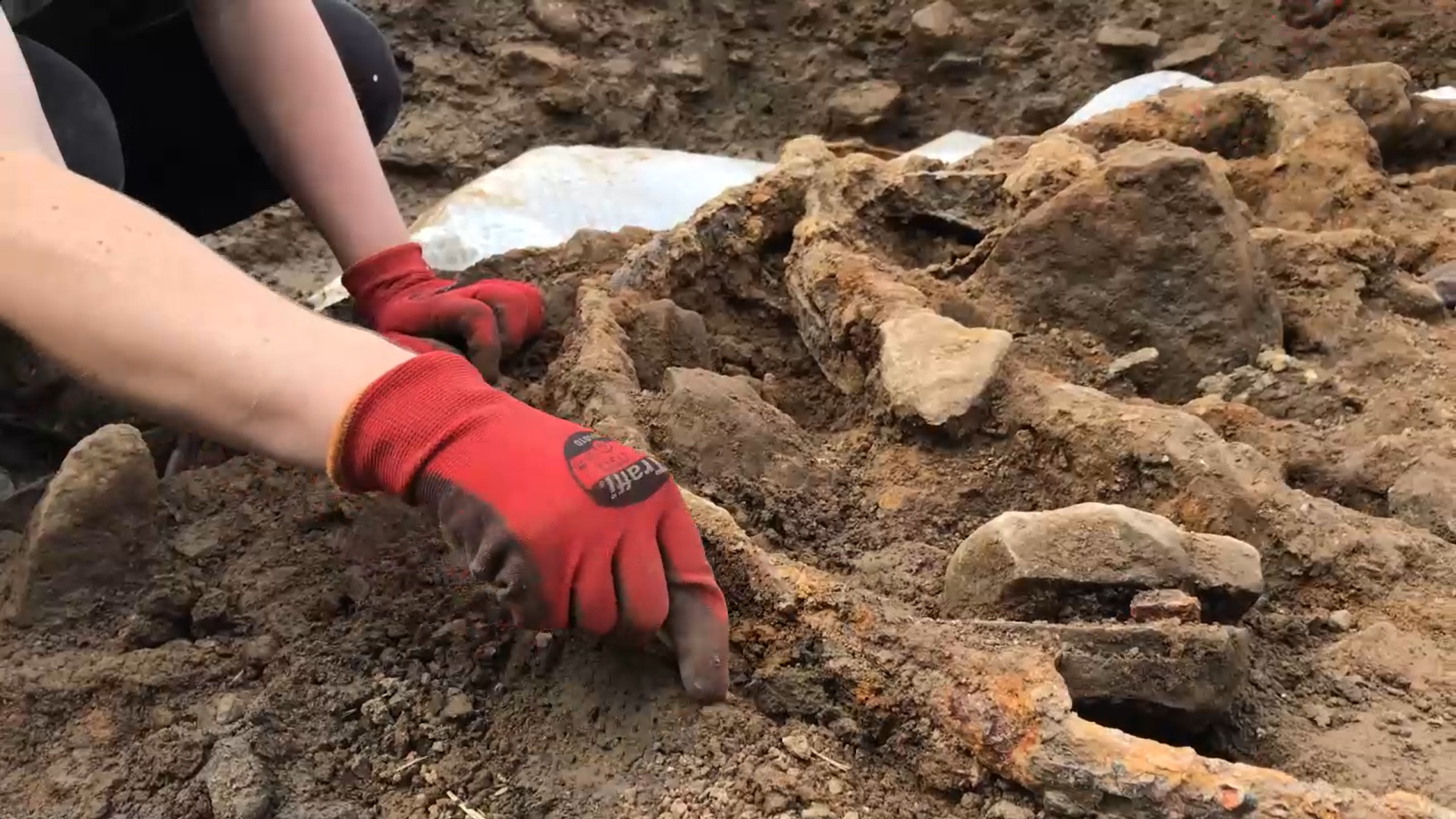 A close-up of the excavating process of The Melsonby Hoard