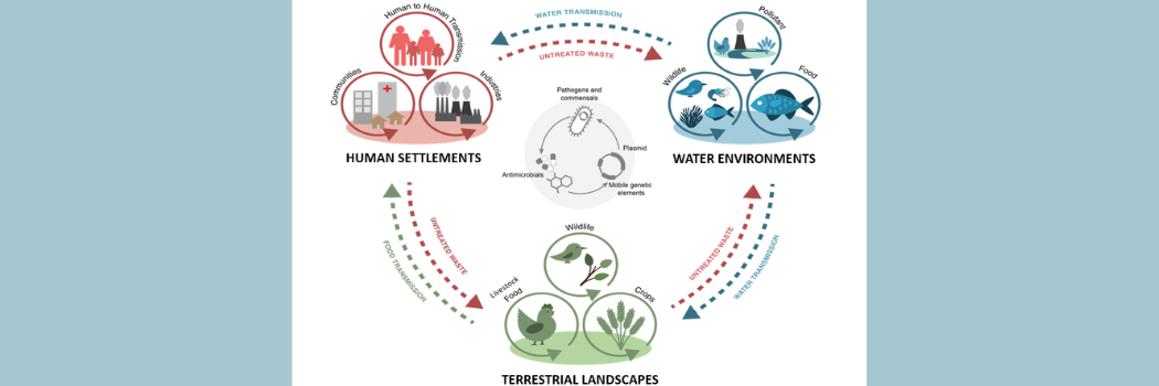 Harnessing AI to Respond to the Global Threat of Antimicrobial Resistance