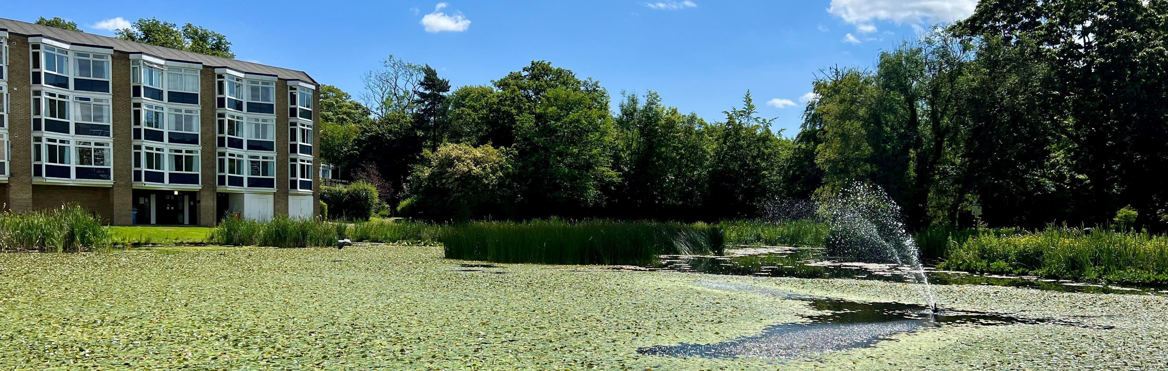 Van Mildert's duck pond and accommodation block