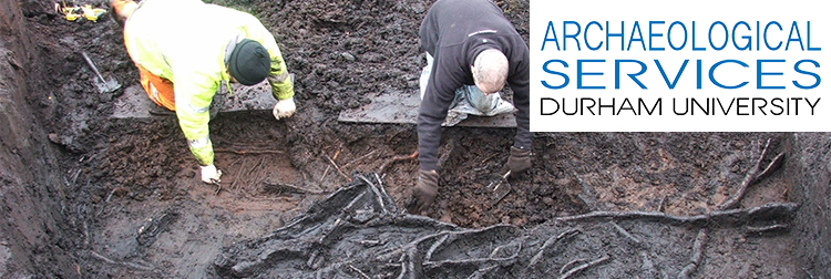 People excavating preserved wood and branches with the Archaeological Services logo on the right hand side