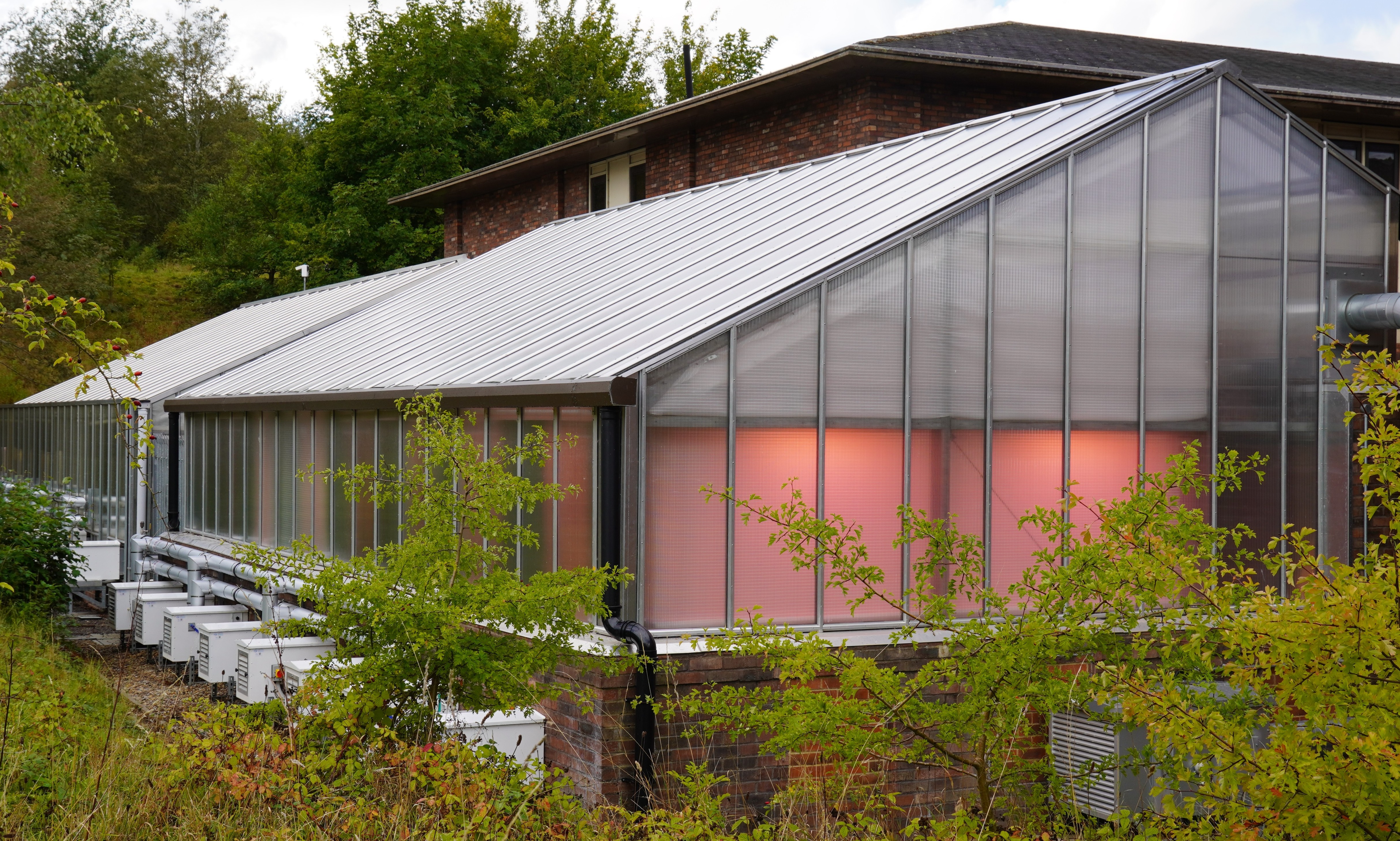 Plant growth glasshouse