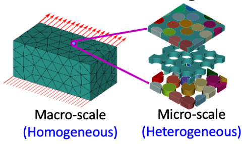 macro and micro scale