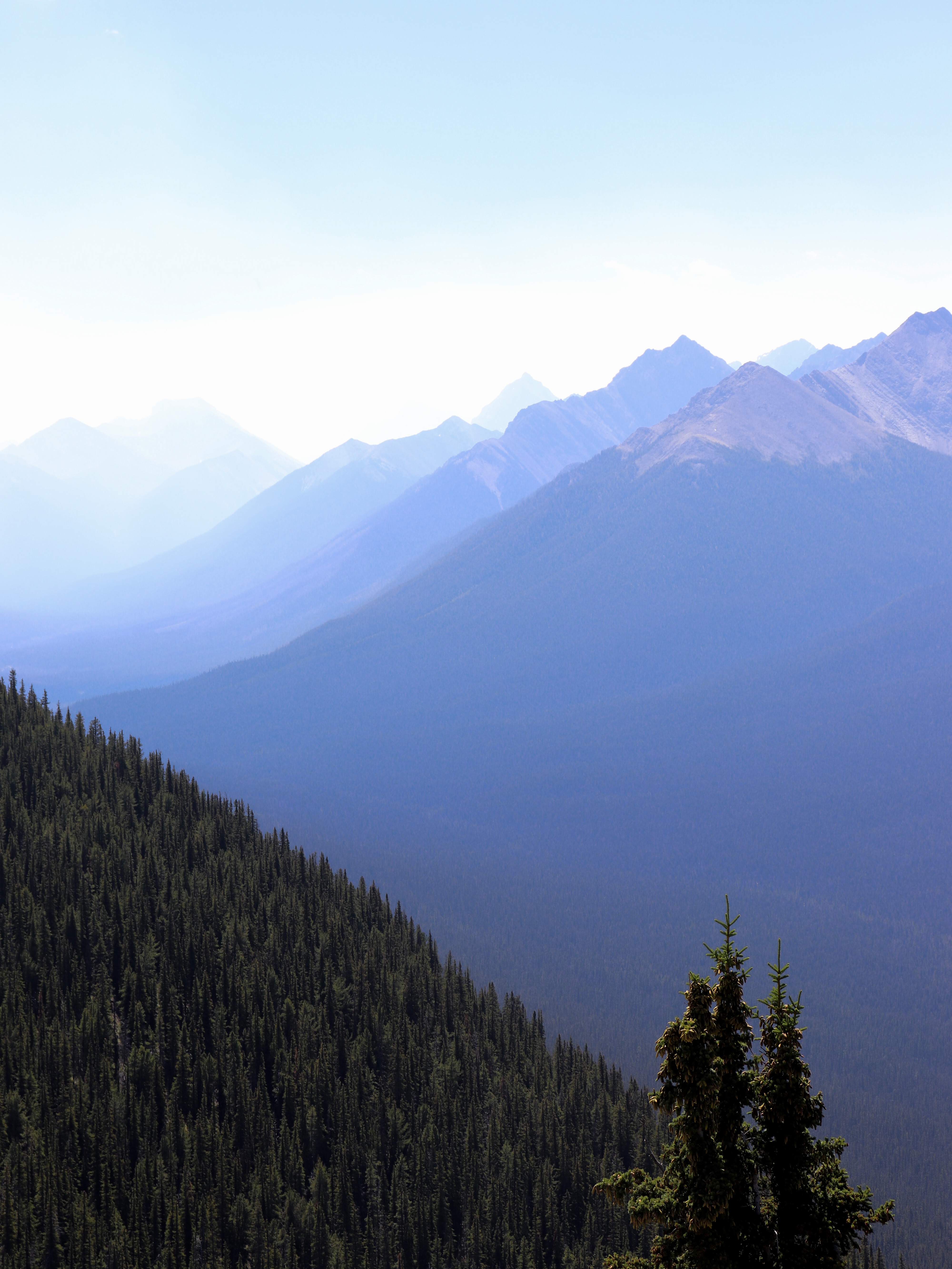 Rockies, wildfires, smoke, slopes, pines, firs, Banff National Park,