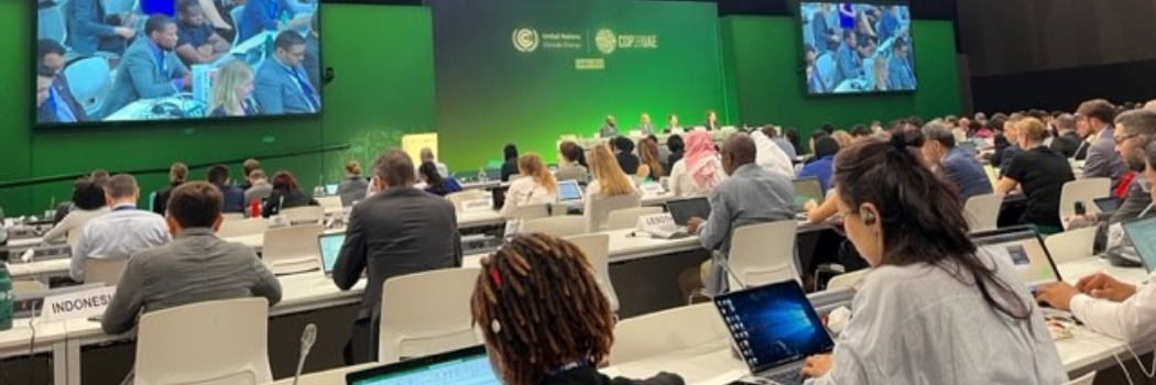 A group of people sitting in a room with their backs to the camera, looking at a green presentation slide.