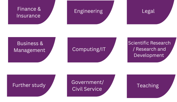 Selection UG maths graduate careers