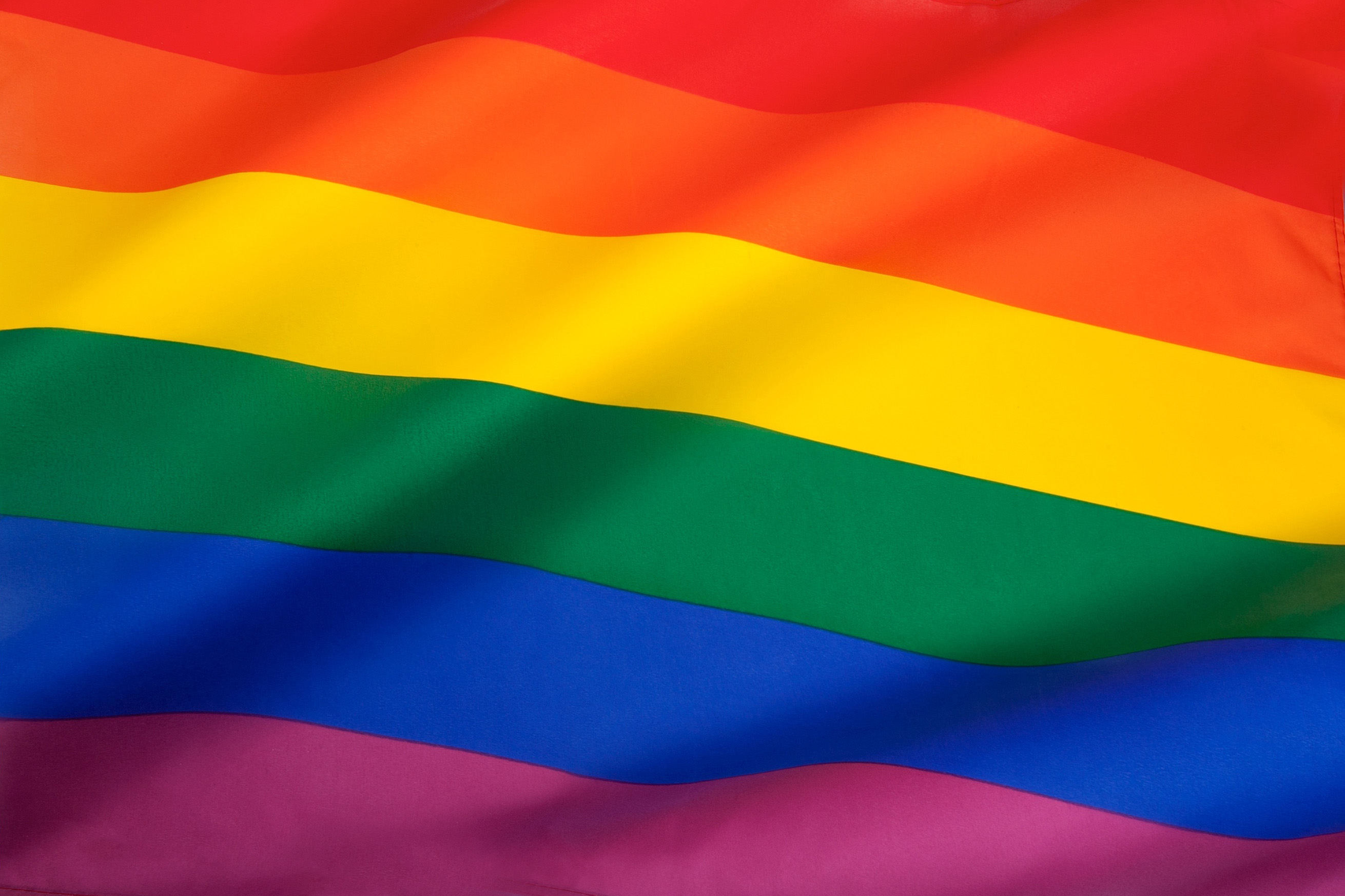 LGBTQ EDI flag