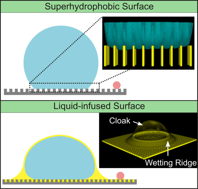 Graphic explaining superhydrophobic and Liquid-infused surfaces