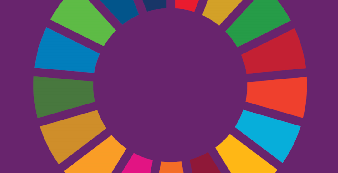 A circle made up from different coloured segments