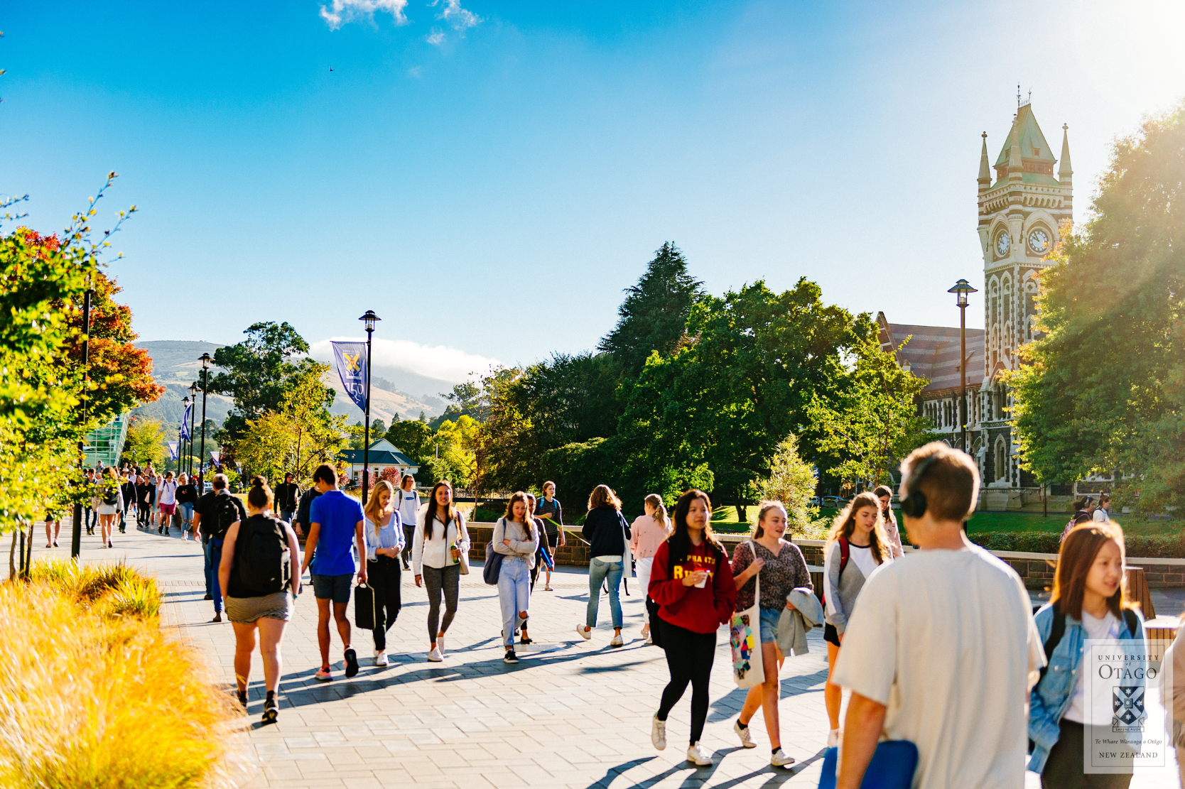 Students city. Student City. University of Otago. Student in the City. Best beautiful Cities for students.