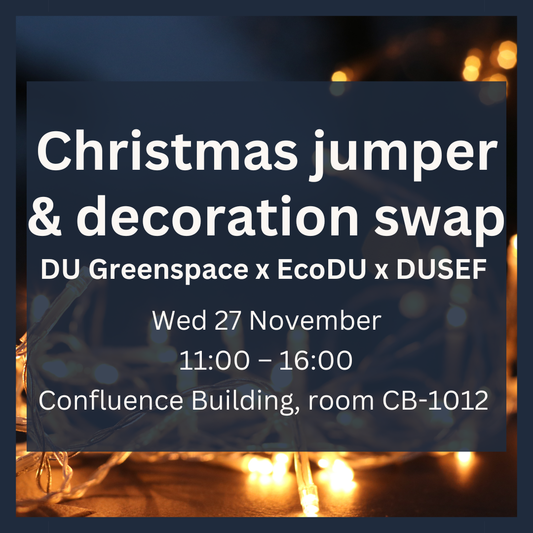 Christmas jumper & decoration swap: DU Greenspace x EcoDU x DUSEF