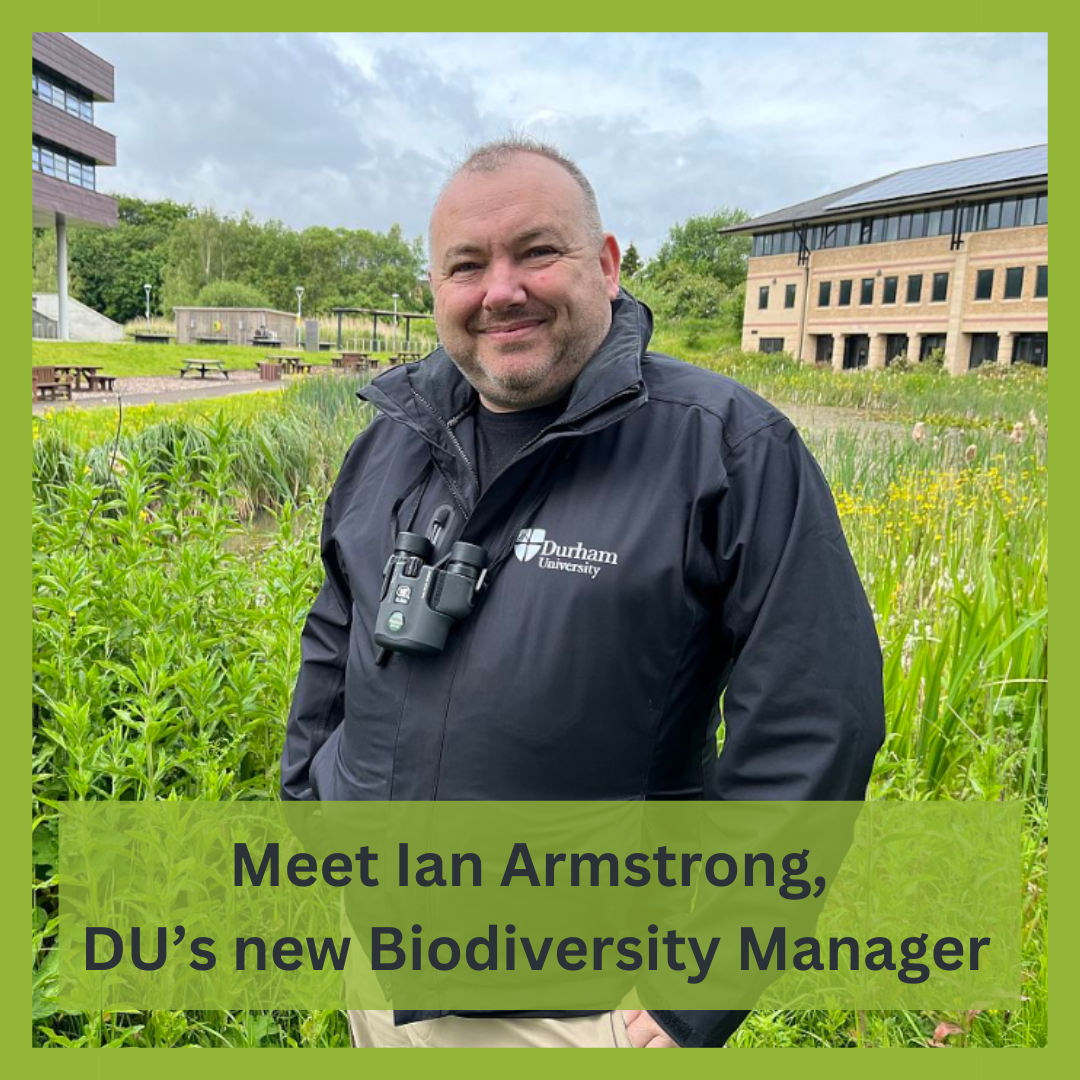 Meet Ian Armstrong, Durham University's new Biodiversity Manager