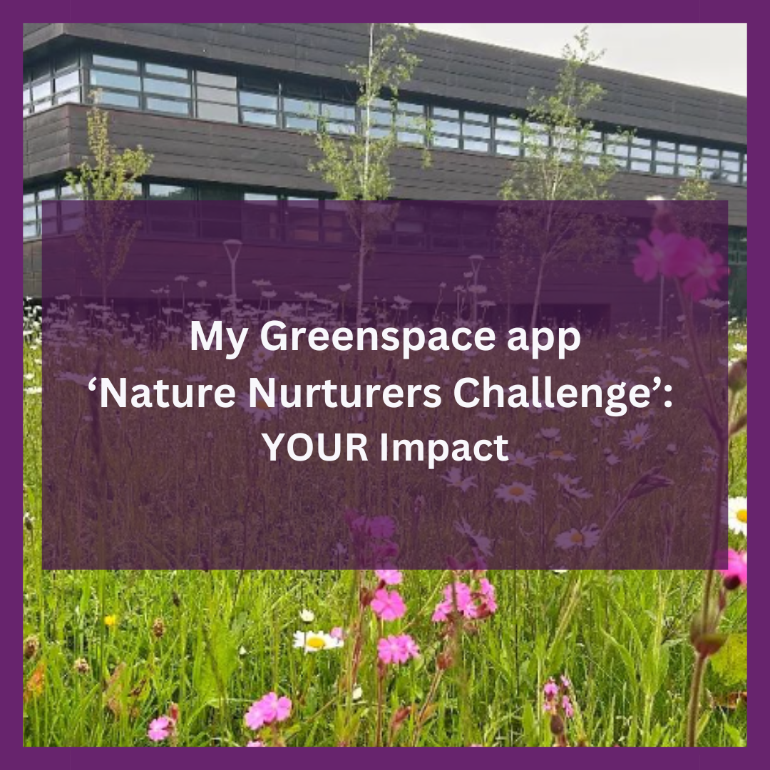 Nature Impact Task