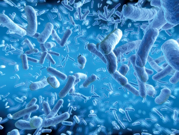 IAS RDP - Biofilms, image of bacteria
