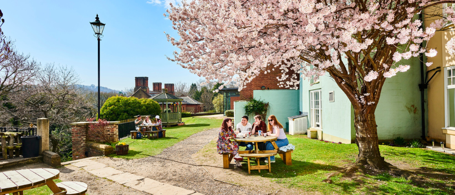Students sitting at picnic table under cherry blossom tree
